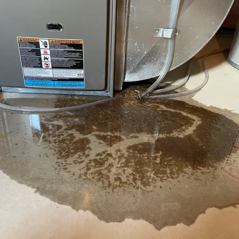 Appliance Leak Cleanup in Santa Clara County, CA